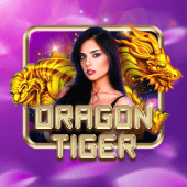 Dragon Tiger happy bingo app casino
